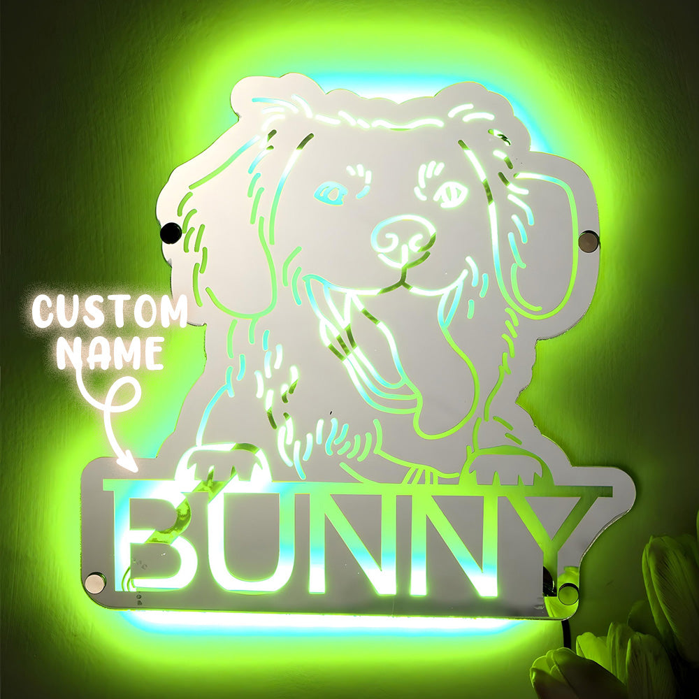 Pet Portrait Mirror Light