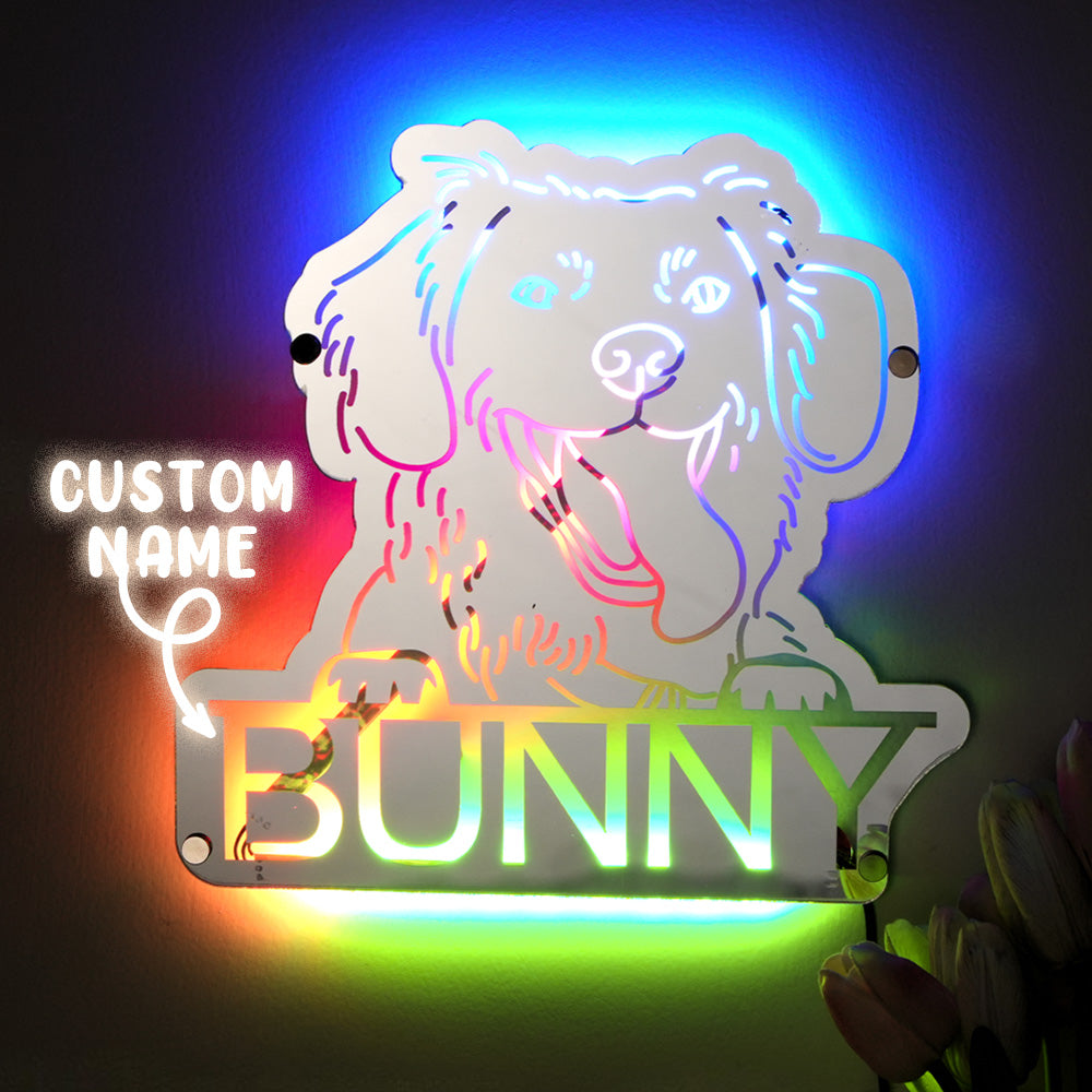 Pet Portrait Mirror Light