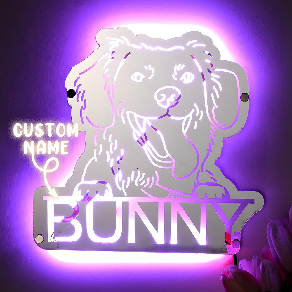 Pet Portrait Mirror Light