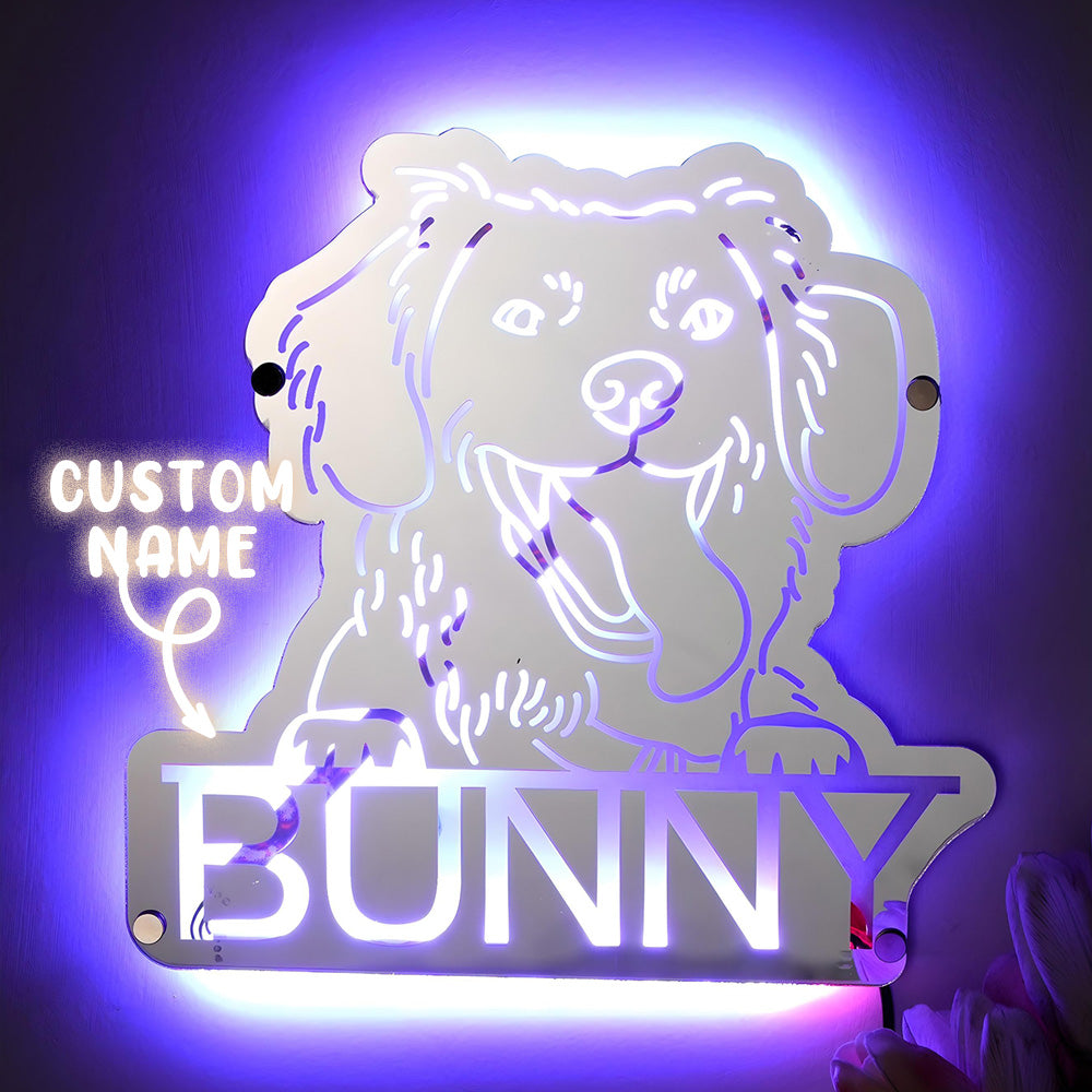 Pet Portrait Mirror Light