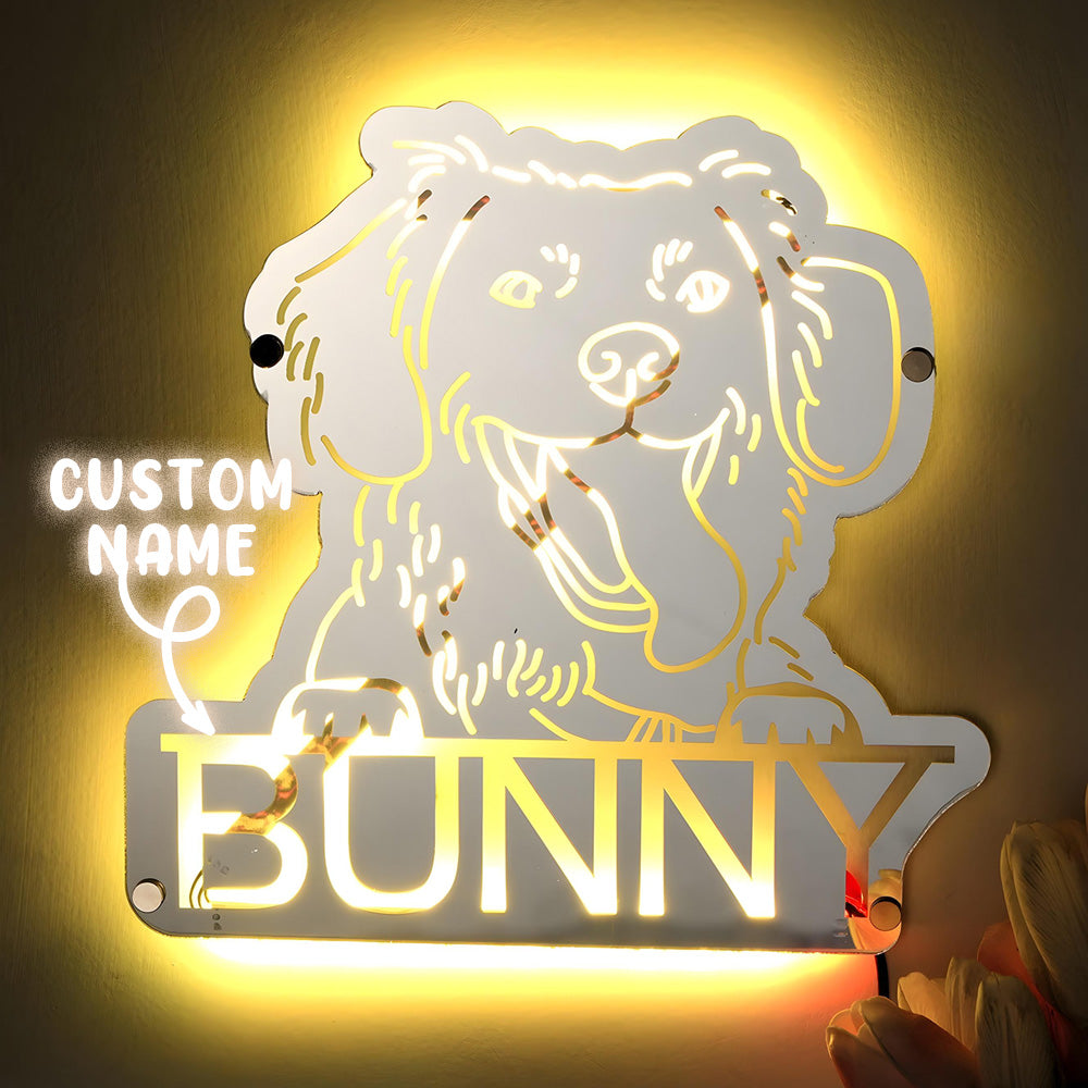 Pet Portrait Mirror Light