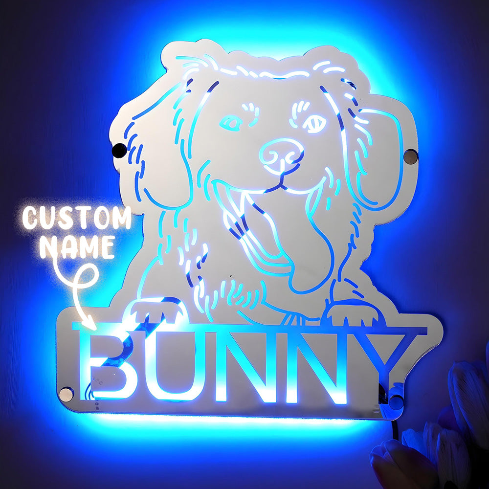 Pet Portrait Mirror Light