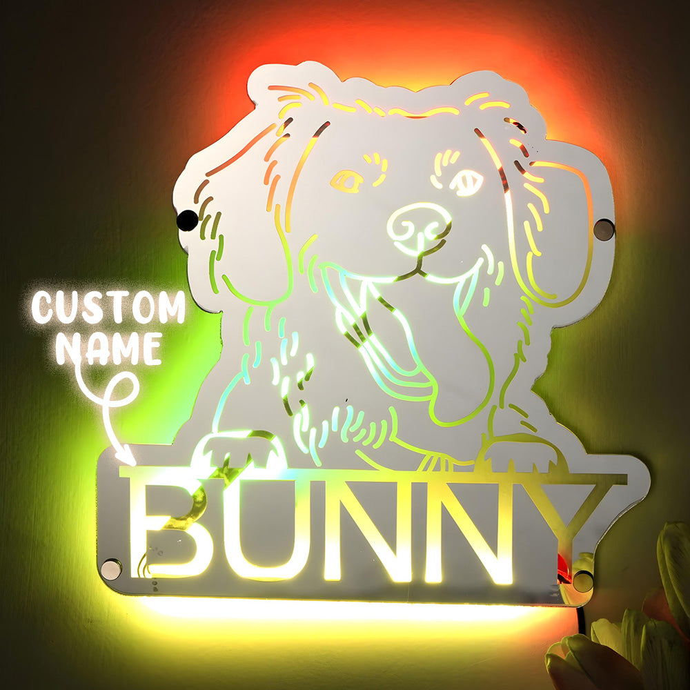 Pet Portrait Mirror Light