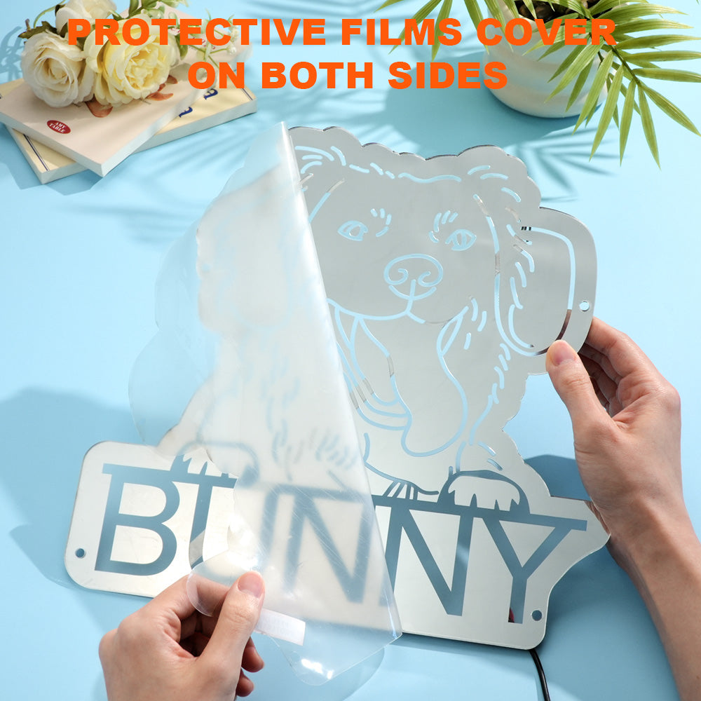 Pet Portrait Mirror Light