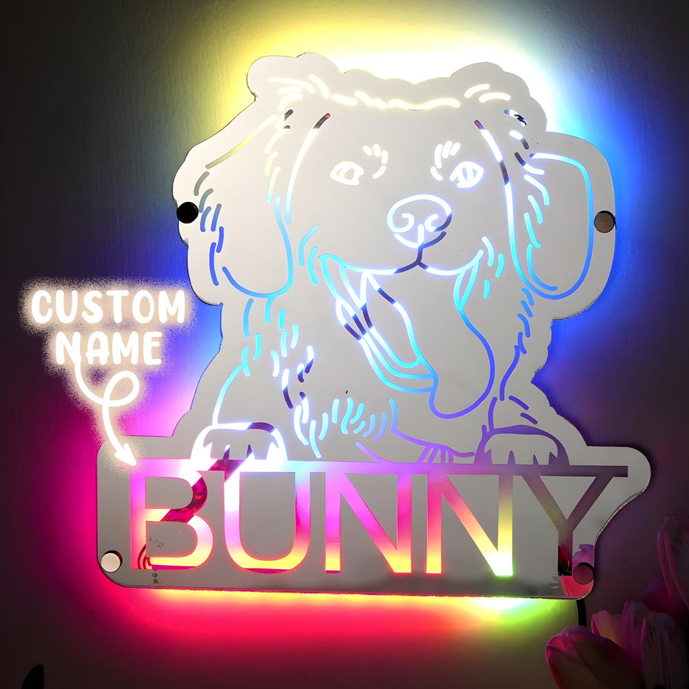 Pet Portrait Mirror Light