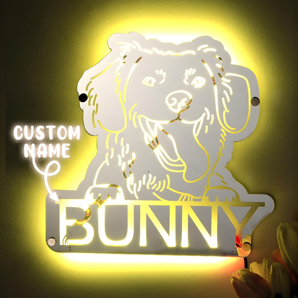 Pet Portrait Mirror Light