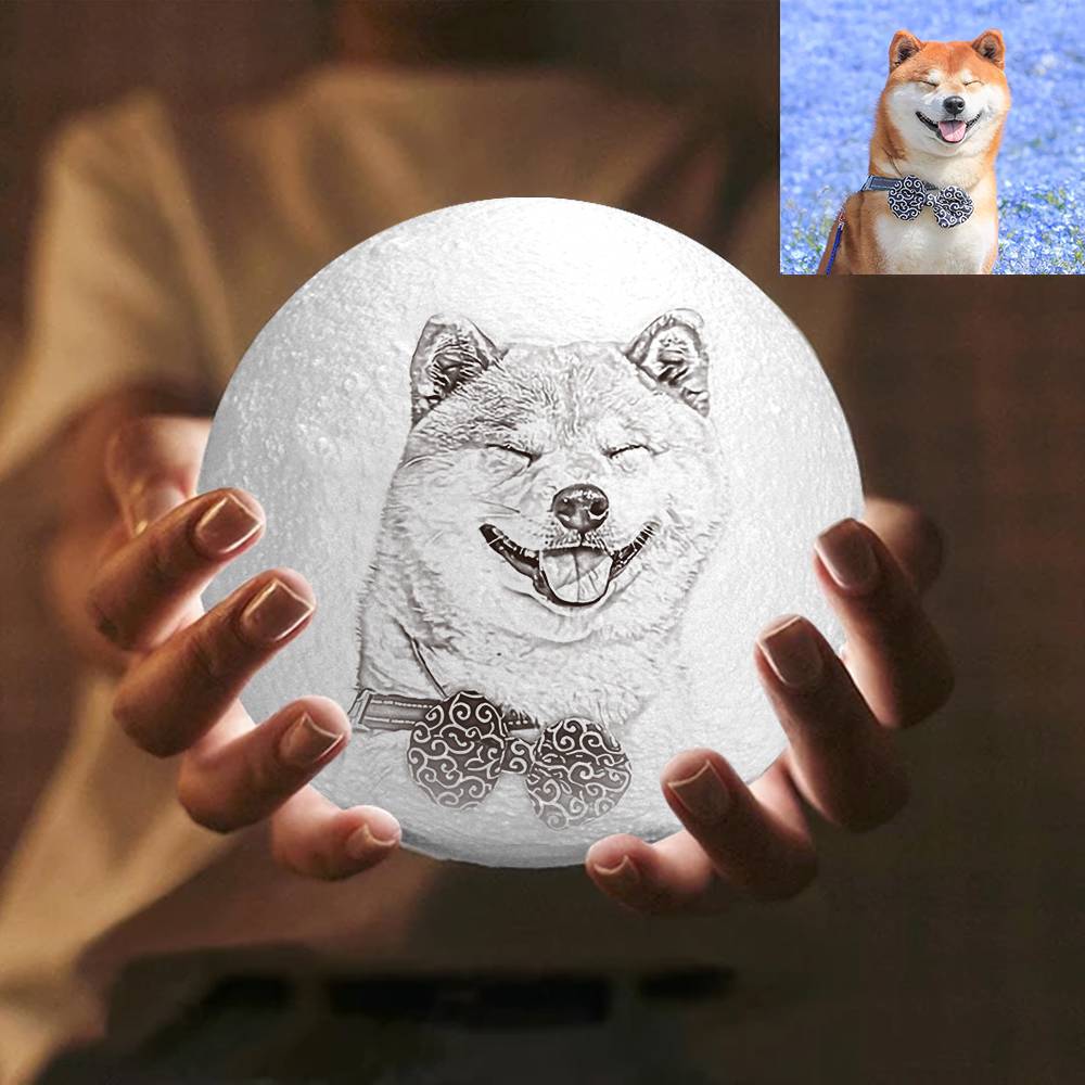 3D Photo Moon Lamp