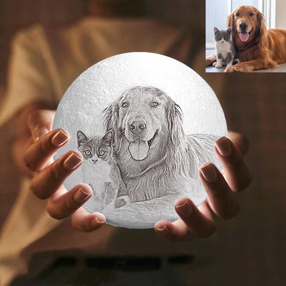3D Photo Moon Lamp