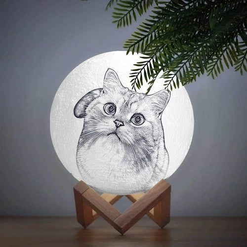 3D Photo Moon Lamp