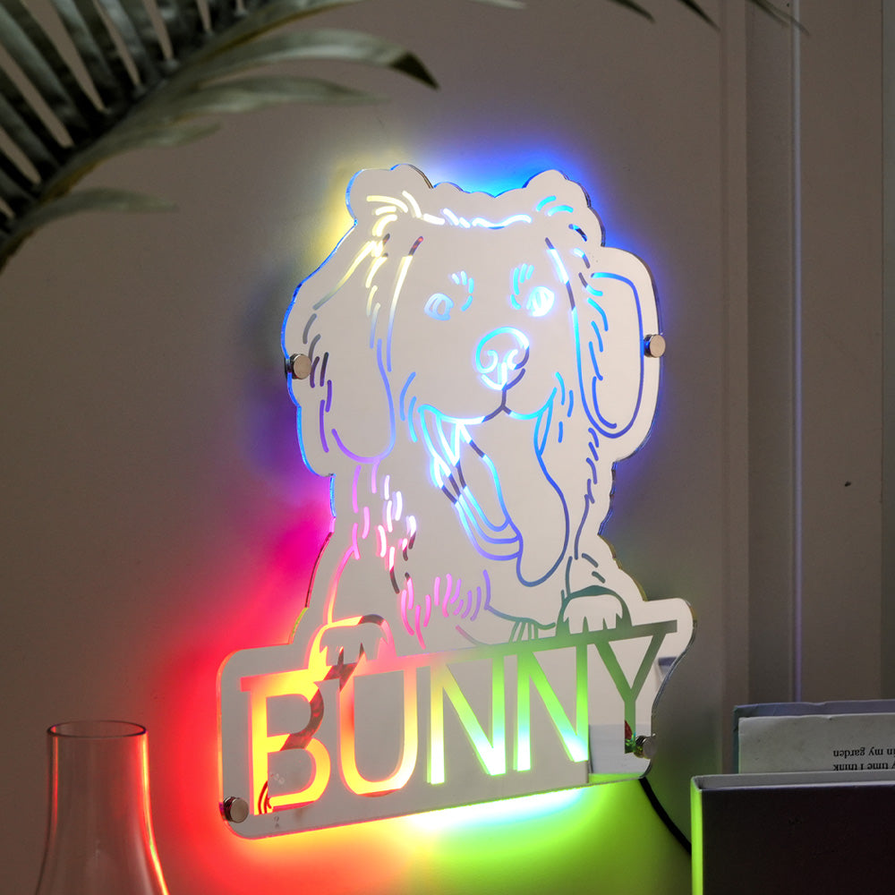 Pet Portrait Mirror Light