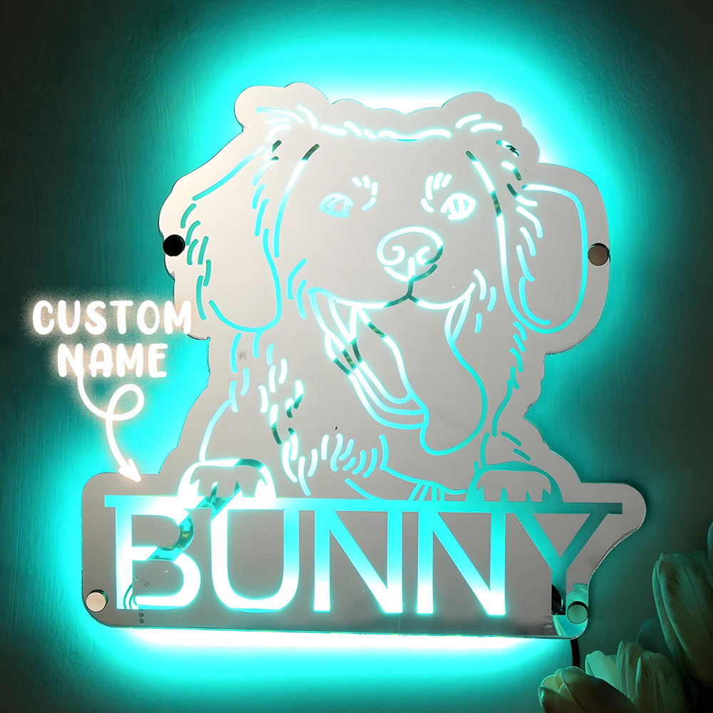 Pet Portrait Mirror Light